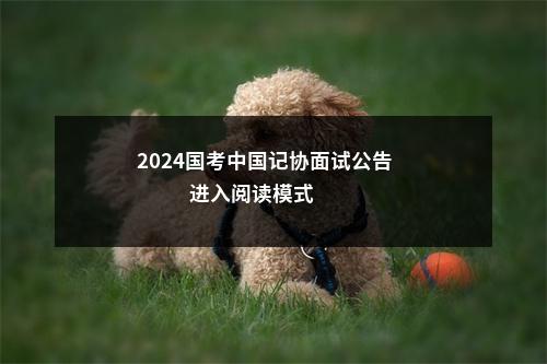 2024国考中国记协面试公告                进入阅读模式 图片