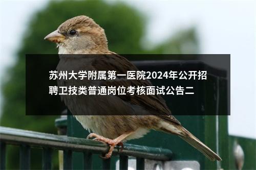 苏州大学附属第一医院2024年公开招聘卫技类普通岗位考核面试公告二                进入阅读模式 图片