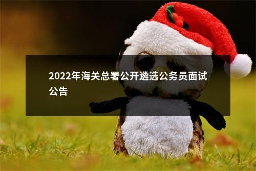 2022年海关总署公开遴选公务员面试公告                进入阅读模式 图片